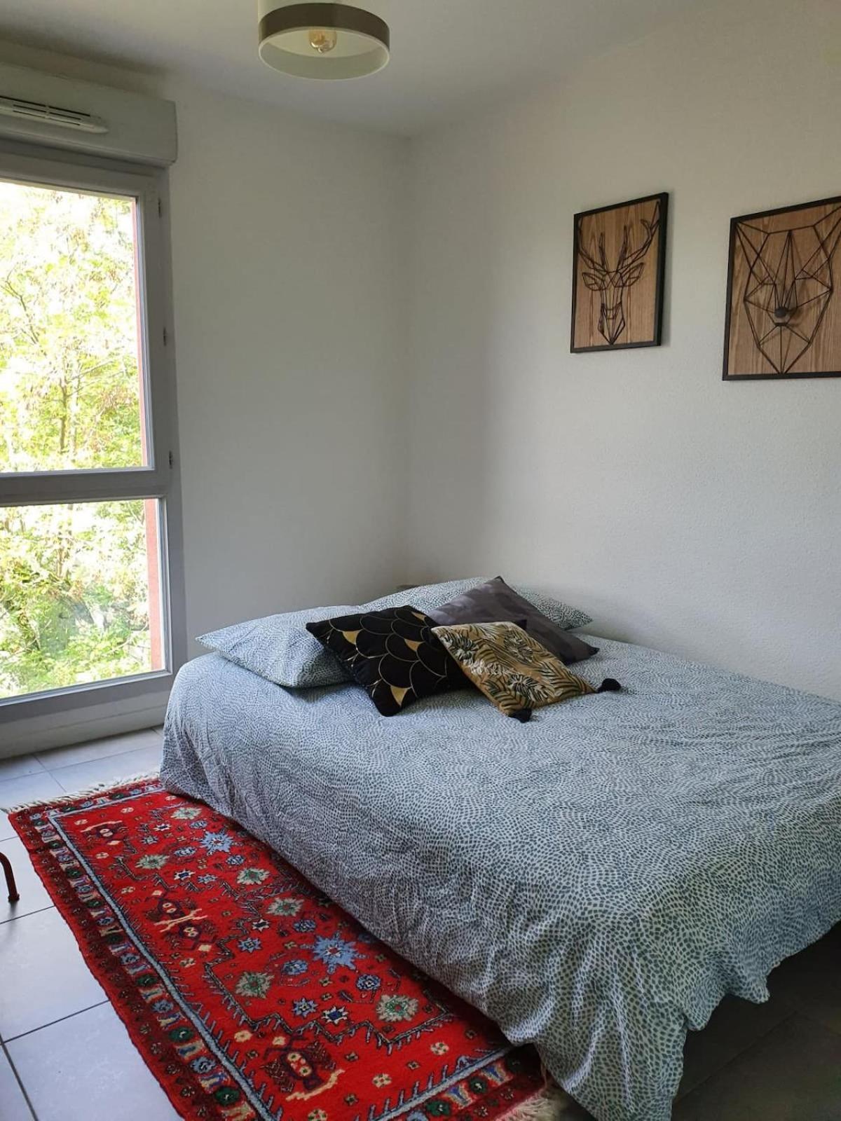 Daurade Balcon Parking Free - Bus Proche Centre Apartment Тулуза Екстериор снимка